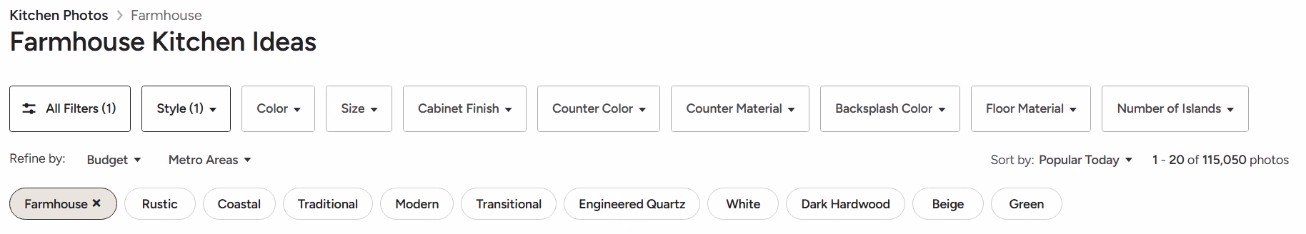 Houzz Farmhouse Kitchen Ideas search with filters for style, color, size, cabinet finish, countertops, backsplash, flooring, budget, and location.