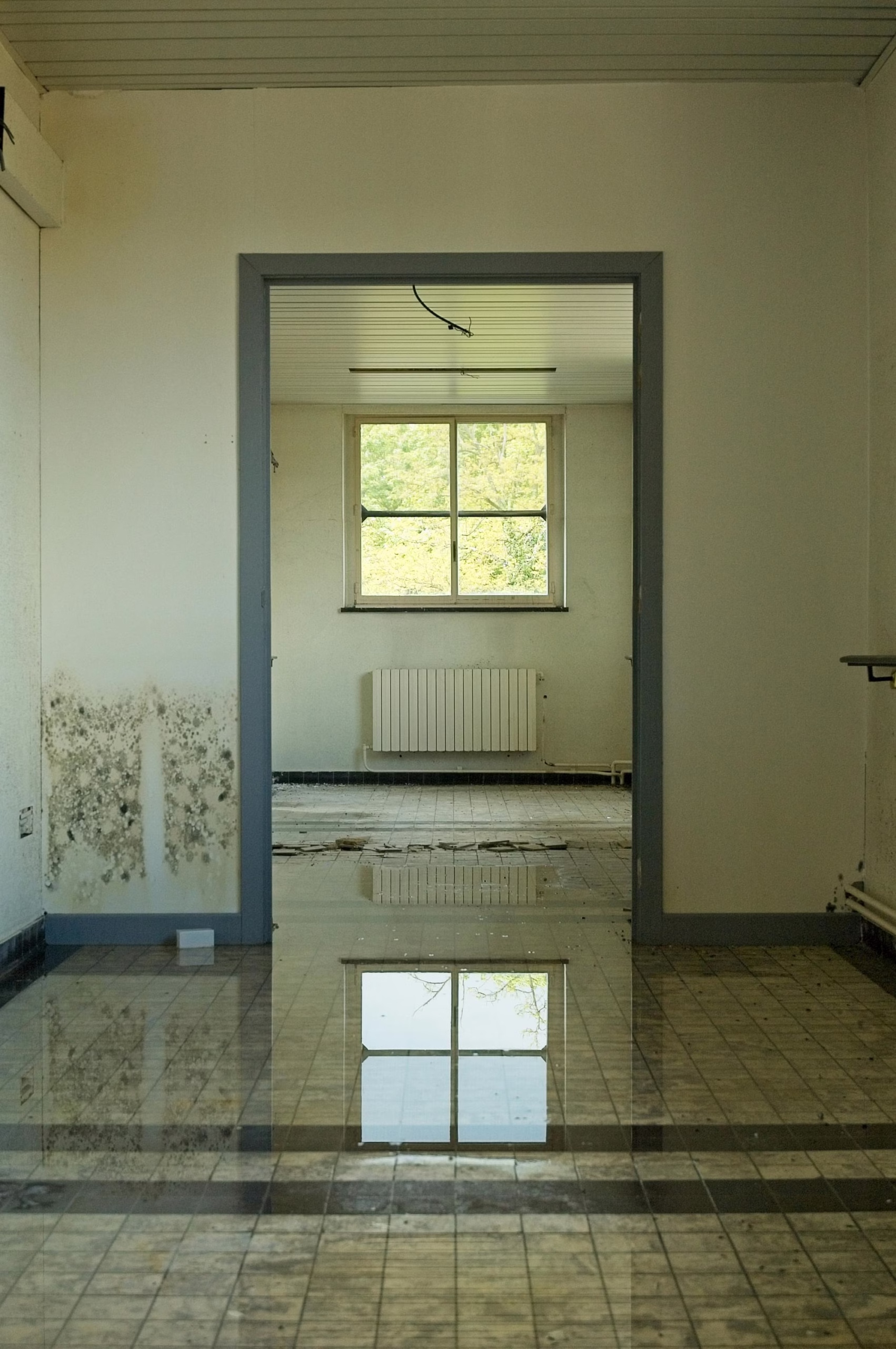 Interior water damage with standing water and mold growth caused by envelope failure, emphasizing why a home inspection checklist and home envelope inspection are essential for home maintenance in Bryan College Station