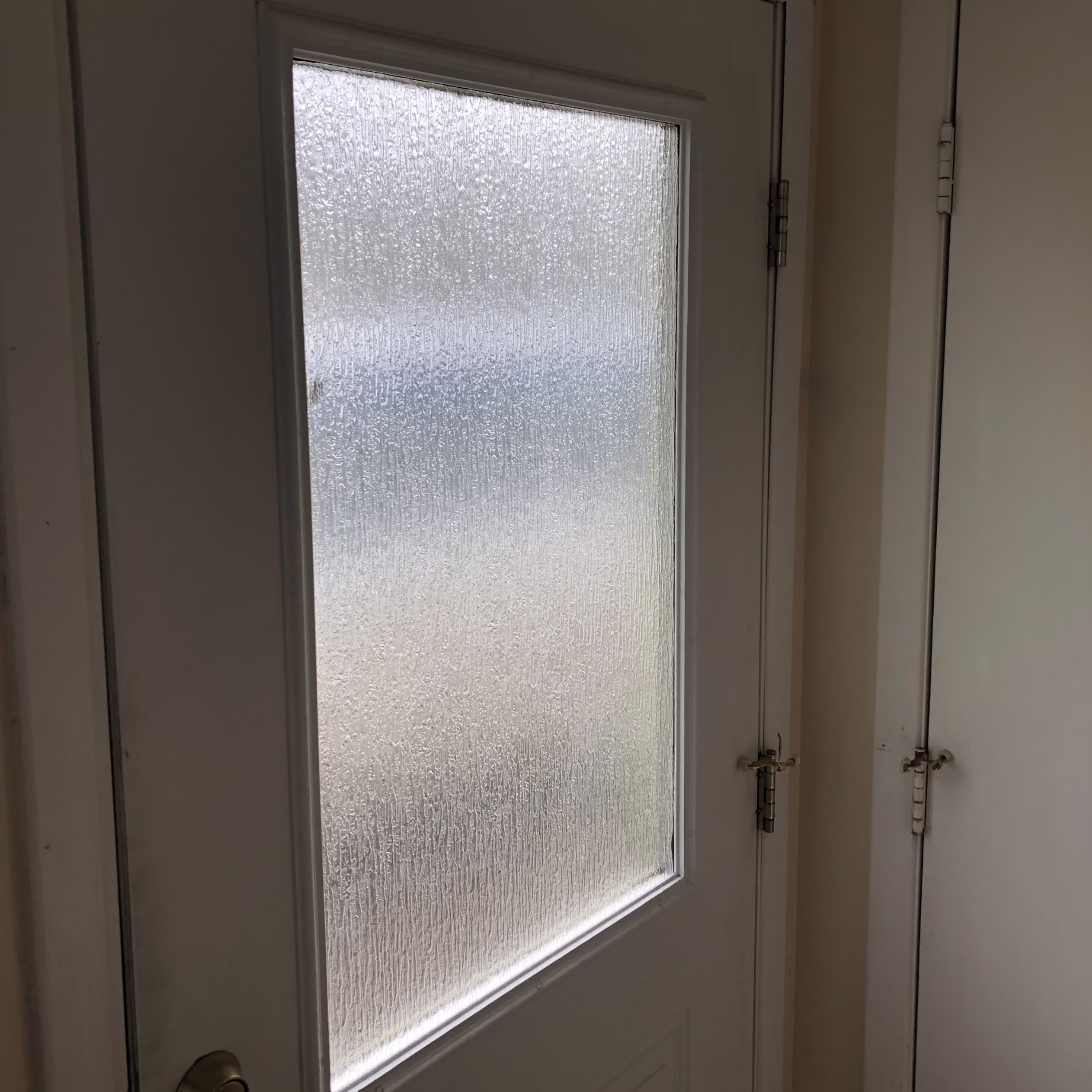 Original solid laundry room door before it was replaced with a glass-panel door during the remodel.