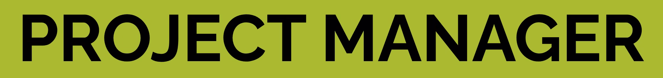remodeling project manager