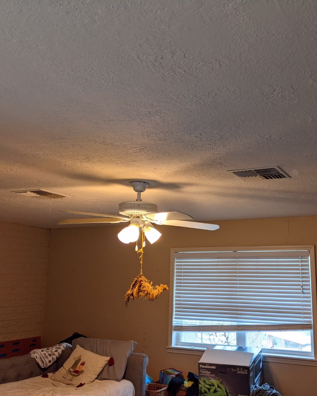 Bedroom with limited lighting and ceiling fan prior to aging in place home renovations focused on improved visibility.