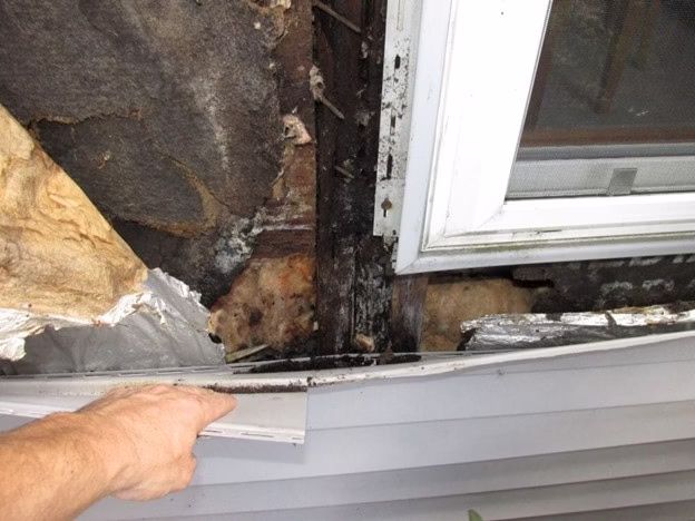 Siding problems and replacement warning signs including wood rot paint failure and moisture damage on exterior wall