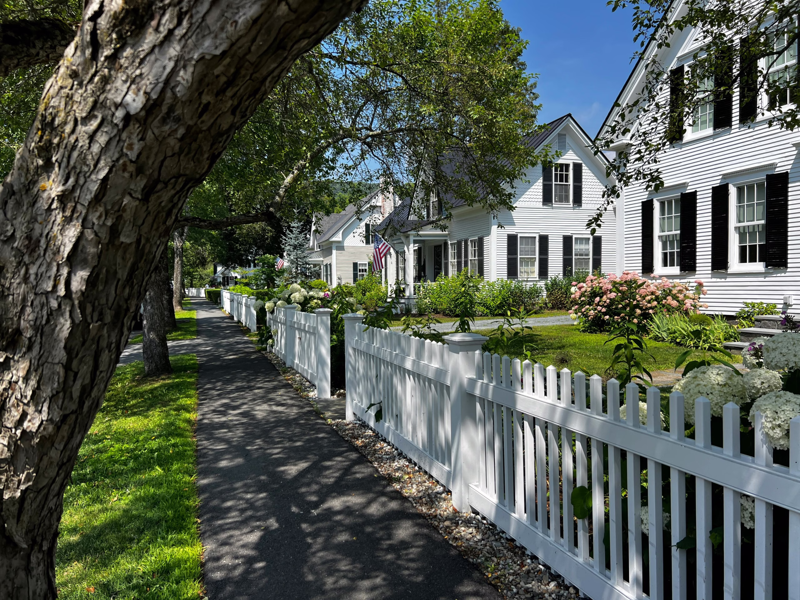 Walkable neighborhood with shaded sidewalk and front yards showing community-focused home design and tailored home design that supports connection and everyday living