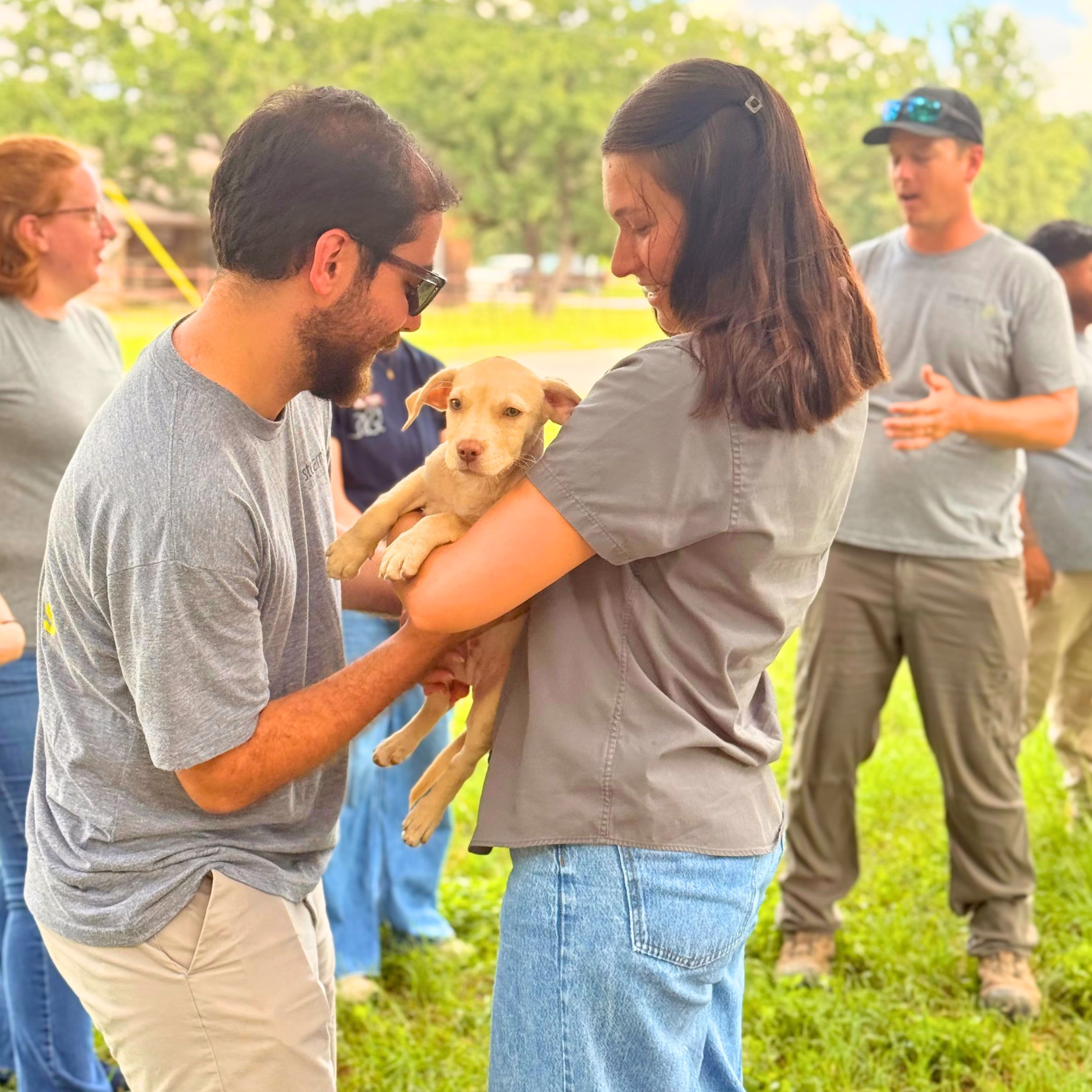 Stearns Design Build team member meeting a puppy during the Aggieland Humane Society community partnership project in Bryan-College Station.