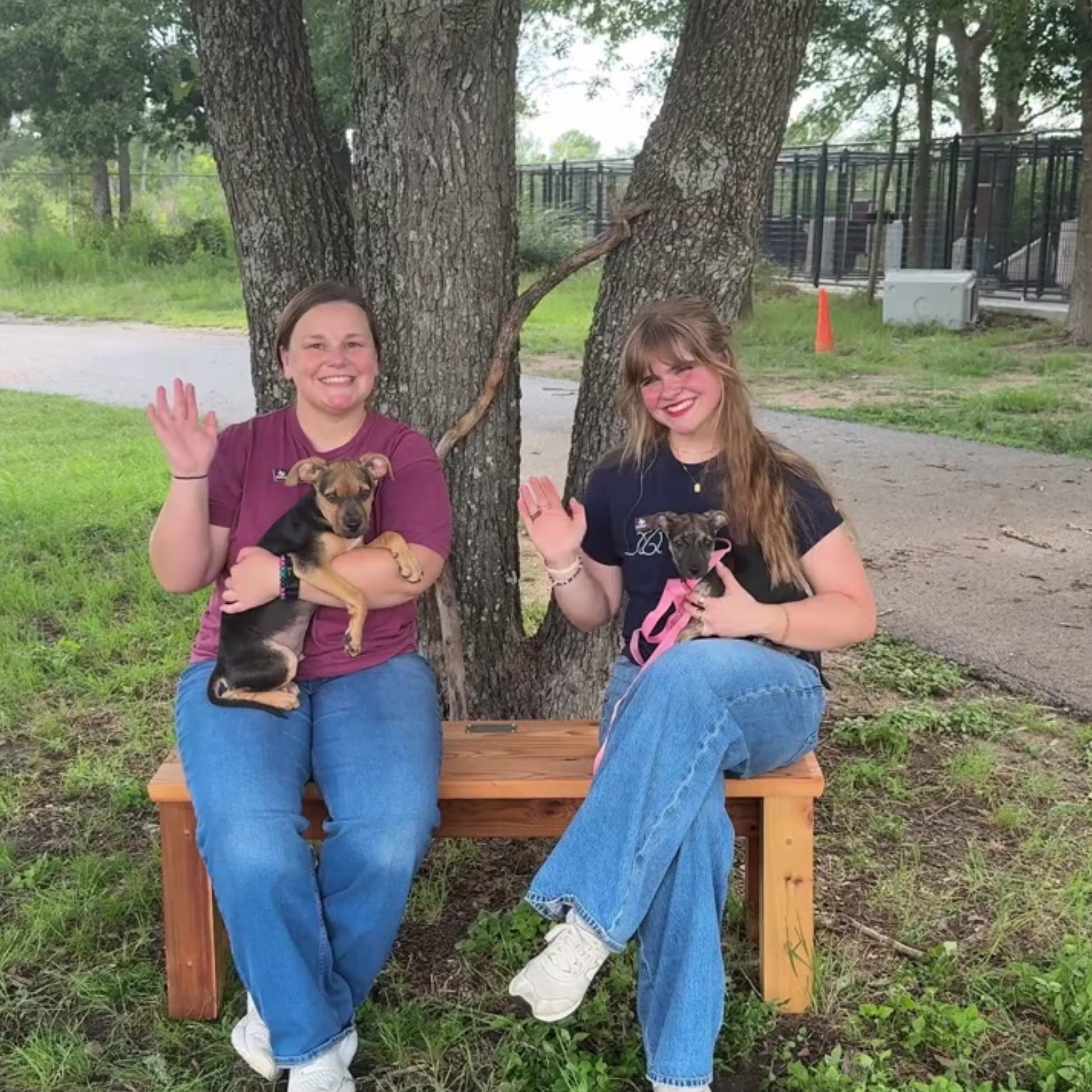 Aggieland Humane Society staff waving during their interviews about the organization