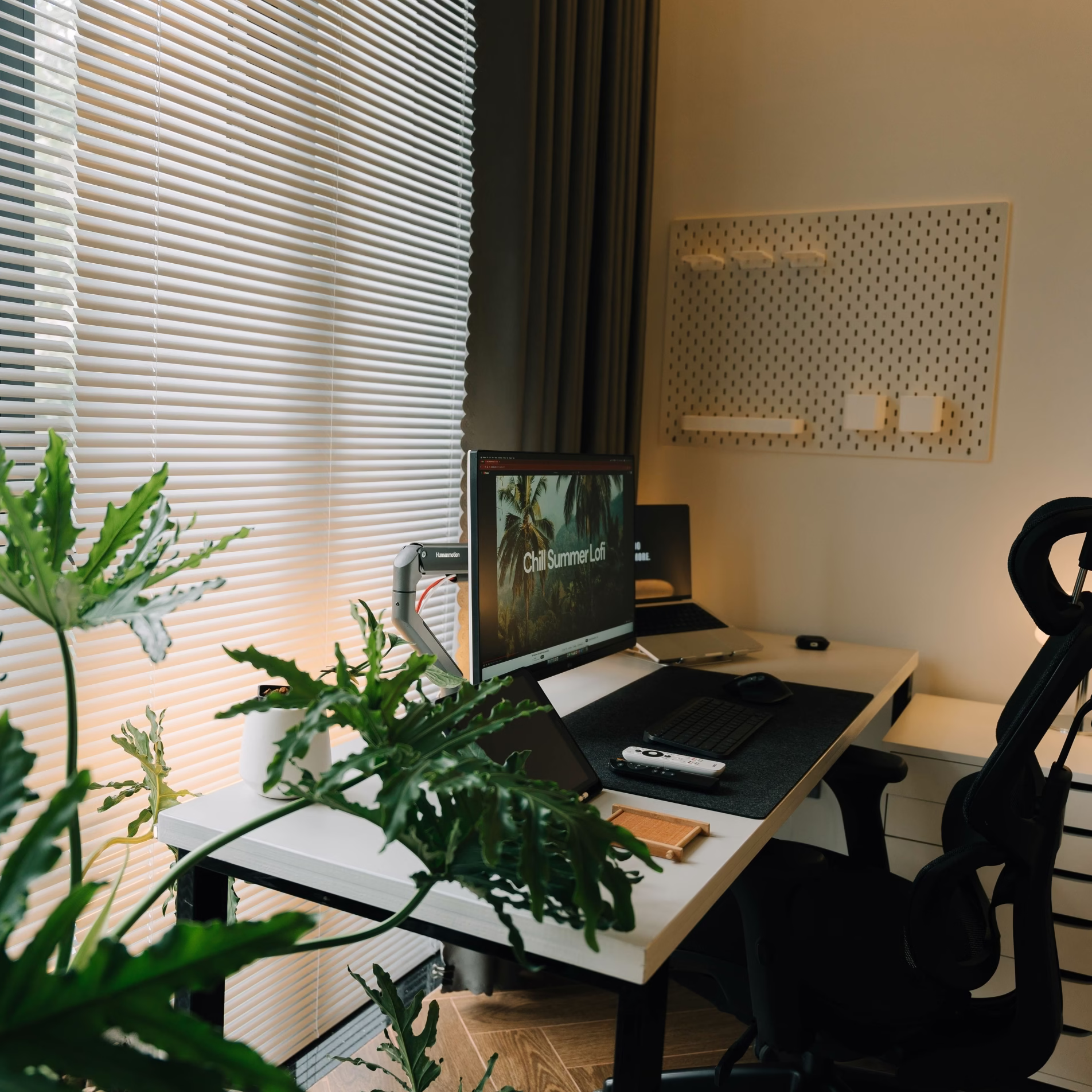 Home office workstation with computer monitors, a black ergonomic chair, window blinds, and green plants.