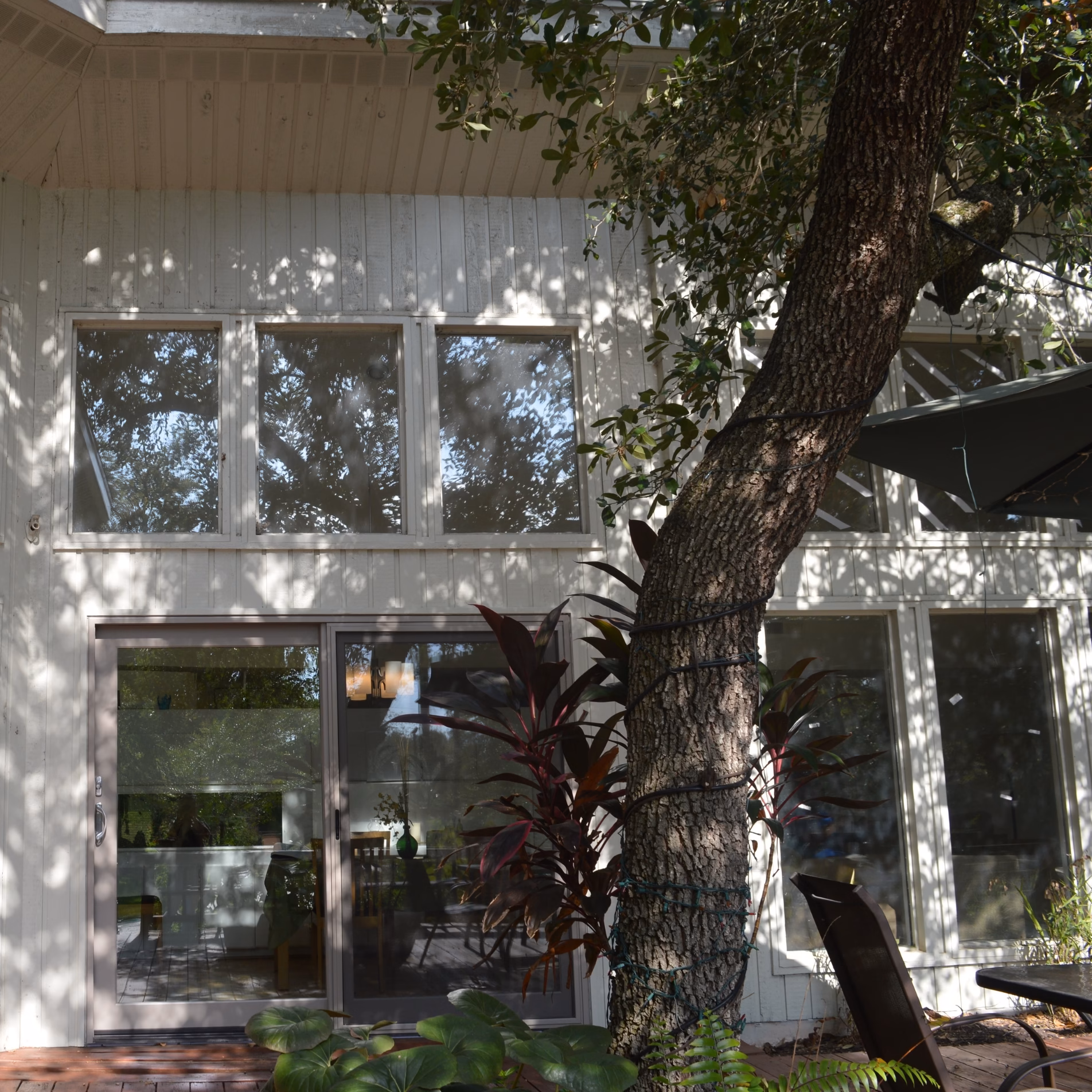 Wooden deck constructed around the trunk of a mature tree beside a home with large windows and sliding glass doors.