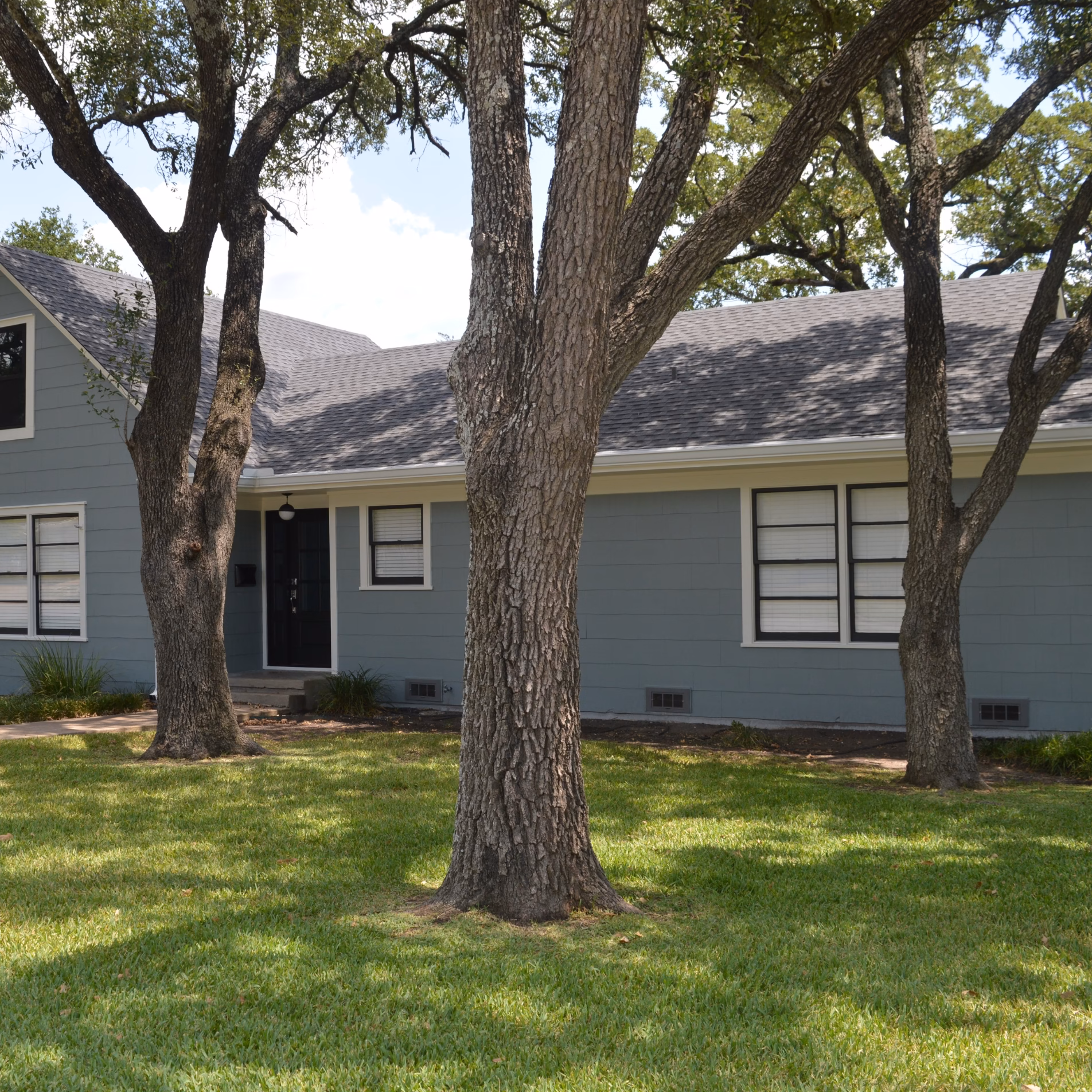 Multiple mature trees surrounding a gray single-story home, with their canopies providing shade across the front yard and roof.
