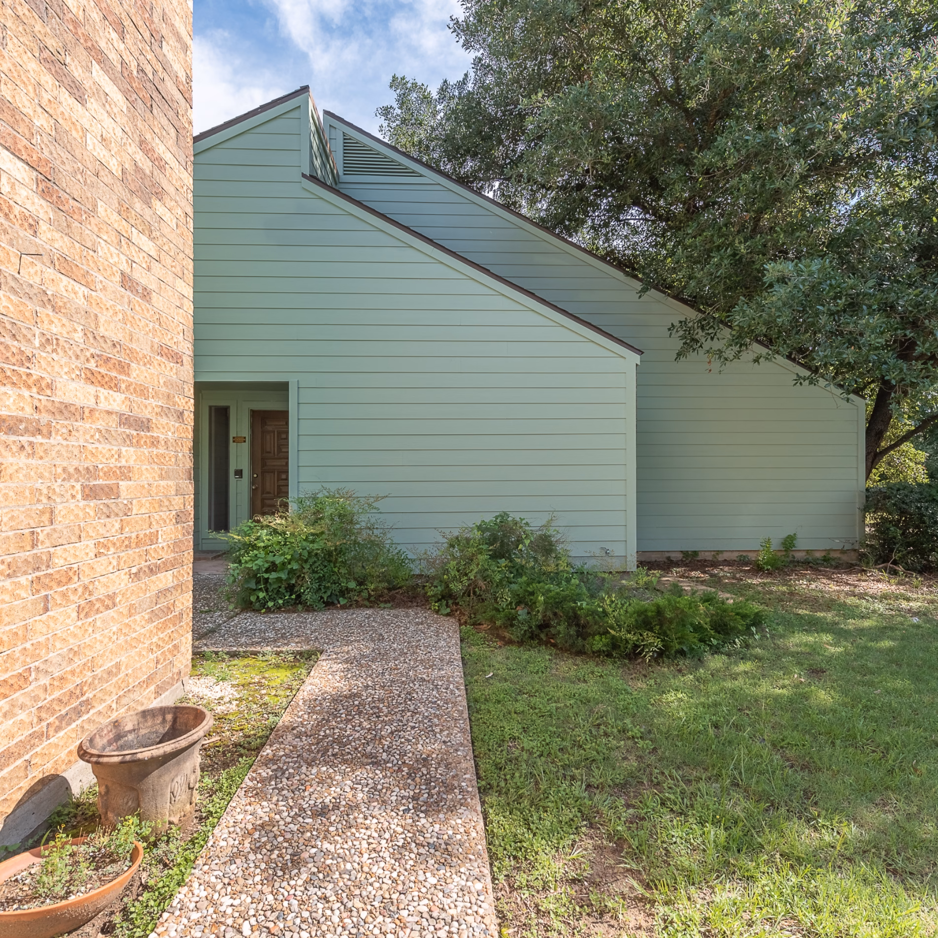 Home with green exterior siding and a mature tree preserved beside the building, its canopy extending over the roofline.