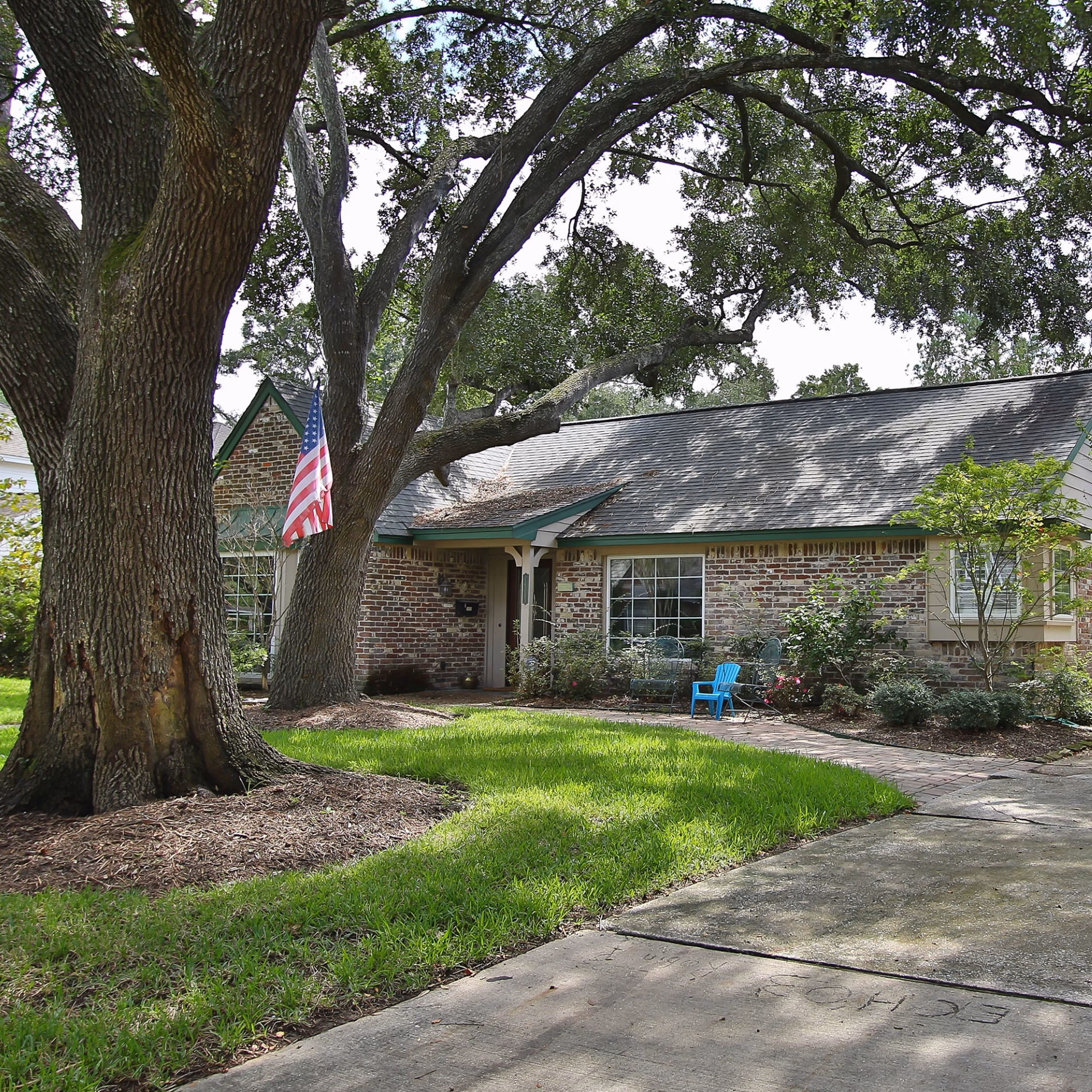 Large mature tree extending its branches over the front yard and roof of a brick home, providing extensive natural shade.